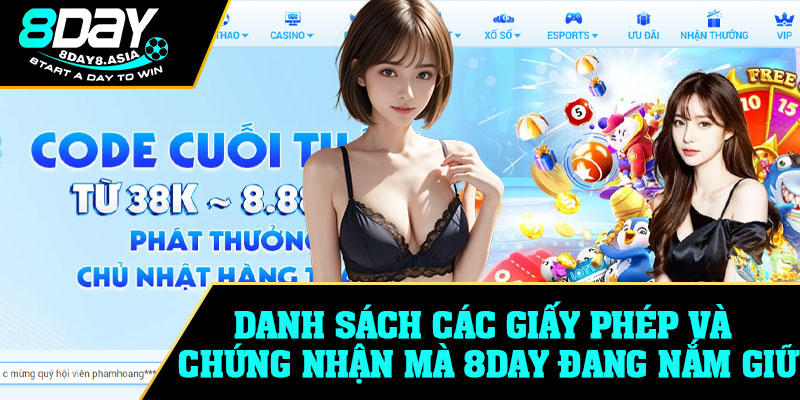Danh sách các giấy phép và chứng nhận mà 8Day đang nắm giữ