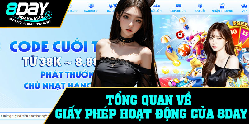 Tổng quan về giấy phép hoạt động của 8Day
