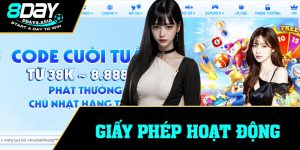 Giấy Phép Hoạt Động