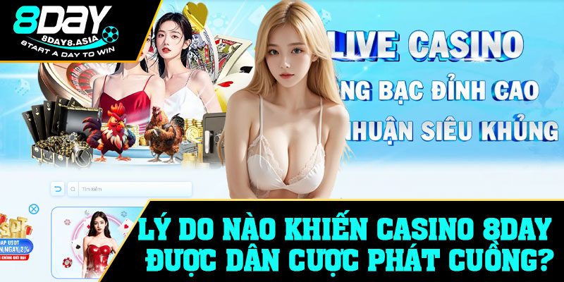 Lý do nào khiến Casino 8Day được dân cược phát cuồng?