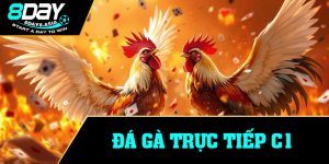Đá Gà Trực Tiếp C1
