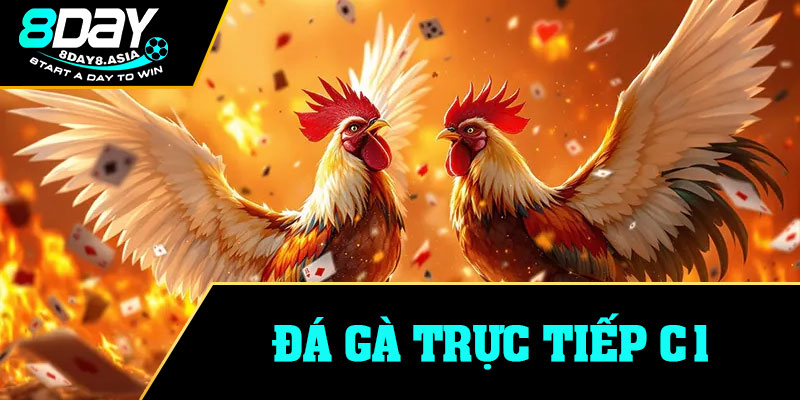 Đá Gà Trực Tiếp C1